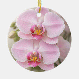 Ornamento De Cerâmica Orquídea Phalaenopsis Rosa Suave