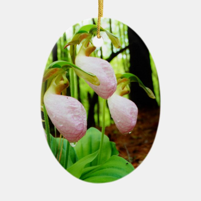 Ornamento De Cerâmica Orquídea silvestre de Lady Slipper Rosa (Frente)