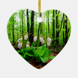 Ornamento De Cerâmica Orquídea silvestre de Lady Slipper Rosa