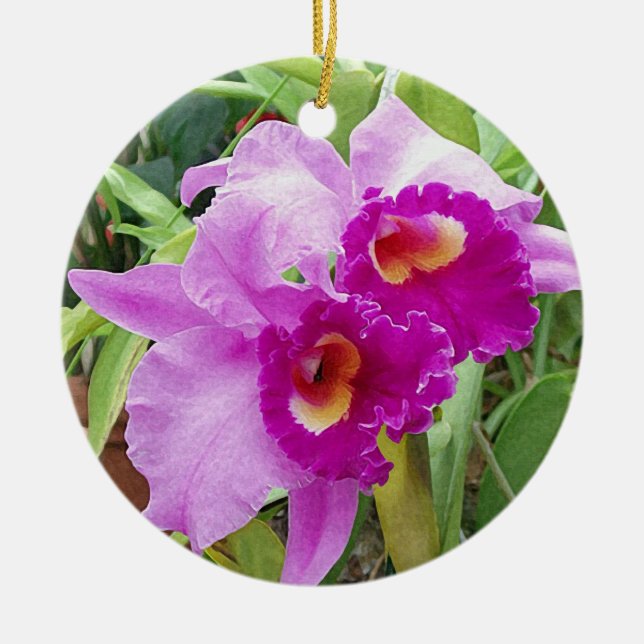 Ornamento De Cerâmica Orquídeas de Cattleya Roxo (Frente)