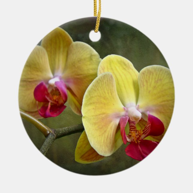Ornamento De Cerâmica Orquídeas de traça amarelas - Phalaenopsis (Frente)