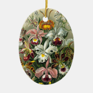 Ornamento De Cerâmica Orquídeas Haeckel