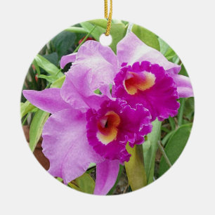 Ornamento De Cerâmica Orquídeas roxas de Cattleya