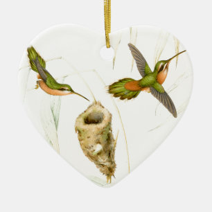 Ornamento De Cerâmica Os animais selvagens dos pássaros do colibri