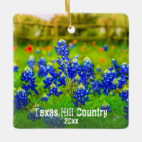 Os Bluebonnets do país do monte de Texas possuem o