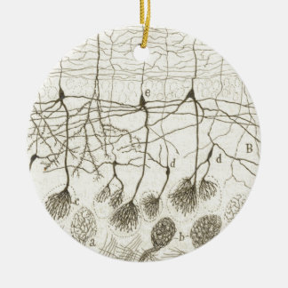 Ornamento De Cerâmica Os neurônios 8 de Cajal
