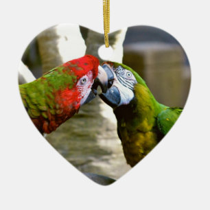 Ornamento De Cerâmica Os pássaros do amor que beijam o Macaw repetem
