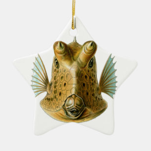 Ornamento De Cerâmica Os peixes inscrevem