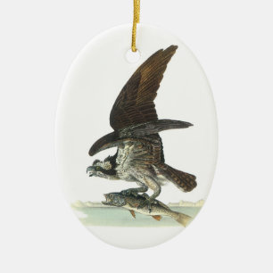 Ornamento De Cerâmica Osprey por Audubon