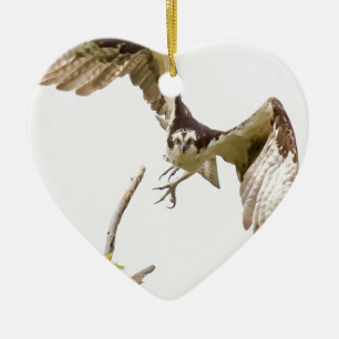 Ornamento De Cerâmica Osprey Vindo Até Você