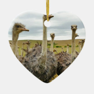 Ornamento De Cerâmica ostrich
