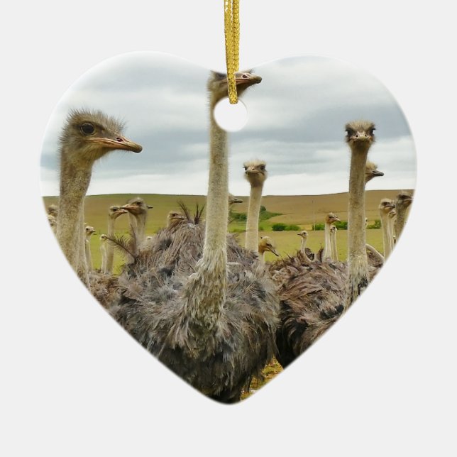 Ornamento De Cerâmica ostrich (Frente)