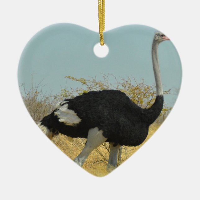 Ornamento De Cerâmica Ostrige para uma corrida (Frente)