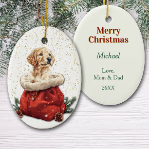 Ornamento De Cerâmica Ouro Bonito Retriever Puppy Puppy Natal Bag