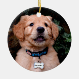 Ornamento De Cerâmica Ouro Retriever Puppy