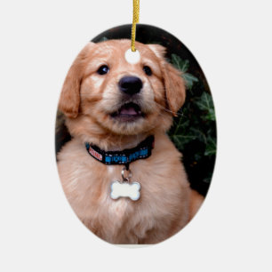 Ornamento De Cerâmica Ouro Retriever Puppy