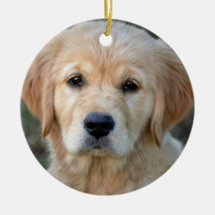 Ornamento De Cerâmica Ouro Retriever Puppy
