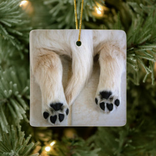 Ornamento De Cerâmica Ouro Retriever Puppy Toes