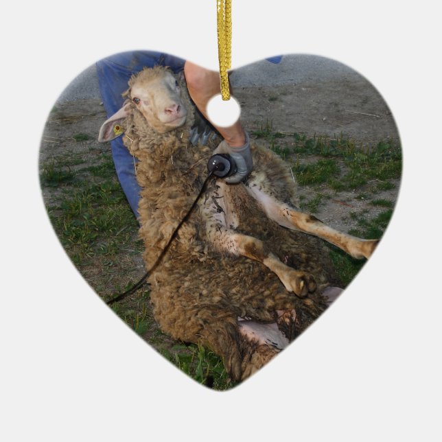 Ornamento De Cerâmica Ouvintes (Frente)