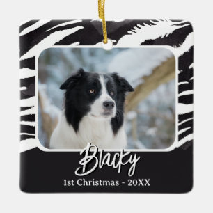 Ornamento De Cerâmica Padrão de Pelo de Border Collie Foto 1º Natal