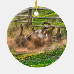 Ornamento De Cerâmica Paint Horse Rolling in Dust Funny Photo