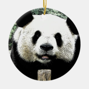 Ornamento De Cerâmica Panda