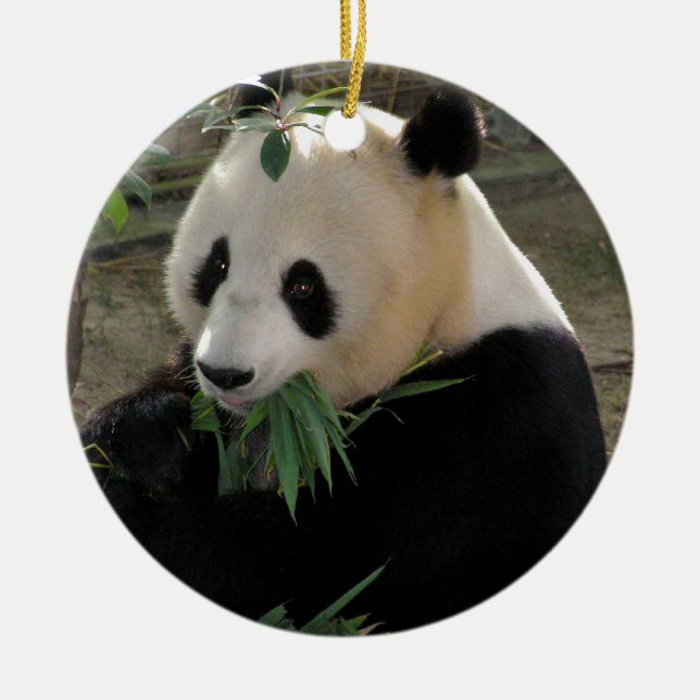 Ornamento De Cerâmica Panda Bear Hugs (Frente)