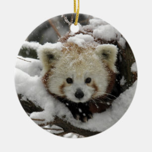 Ornamento De Cerâmica Panda Bearcub do Fox vermelho