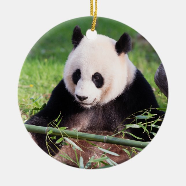Ornamento De Cerâmica Panda gigante Mei Xiang (Frente)