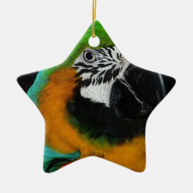 Ornamento De Cerâmica Papagaio (Frente)