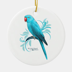 Ornamento De Cerâmica Papagaio azul de Ringneck do indiano