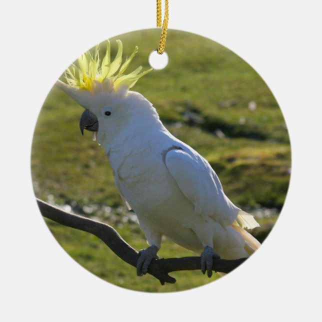 Ornamento De Cerâmica Papagaio de Cockatoo amarelo e branco (Frente)