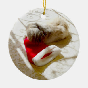 Ornamento De Cerâmica Papai Noel Capturado
