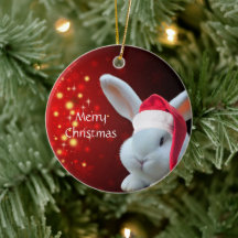 Papais noeis de Natal Bunny