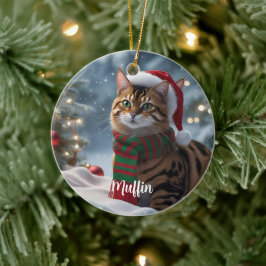 Ornamento De Cerâmica Papais noeis Peixes Bengala Cat Natal Personalizad