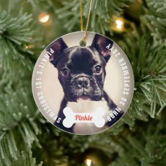 Ornamento De Cerâmica Papas E Cachorros-Ossos Pet Primeiro Foto De Natal