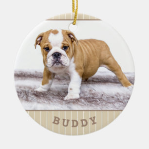 Ornamento De Cerâmica Papoila Cão Puppy Pet Foto Beige Stripe