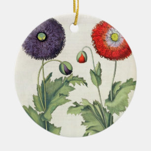 Ornamento De Cerâmica Papoilas: incarnato do multiplici do flore