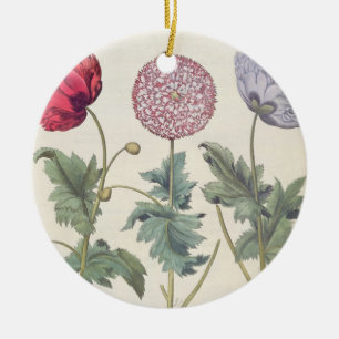 Ornamento De Cerâmica Papoilas: rubicundis multiplex dos albumoris