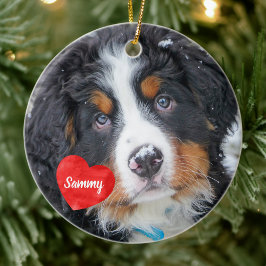 Ornamento De Cerâmica Para Sempre No Meu Coração - Memorial Do Pet Fotog