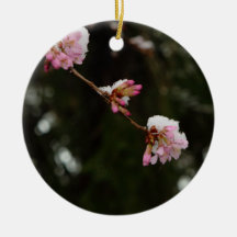 "Para ver a cereja pendurada com neve" - um E