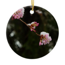 "Para ver a cereja pendurada com neve" - um E