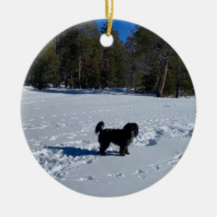 Ornamento De Cerâmica Parabéns: Cão de Neve Tahoe
