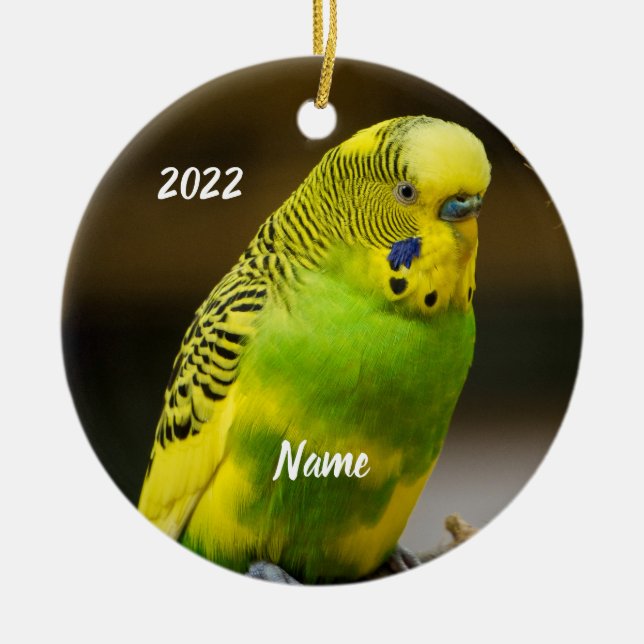 Ornamento De Cerâmica Parakeet Personalizado do Orçamento Inglês (Frente)