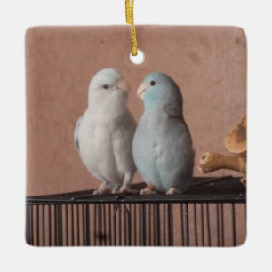 Ornamento De Cerâmica Pares de Parrotlet