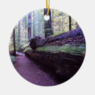 Ornamento De Cerâmica Parque estadual gigante das sequóias vermelhas de