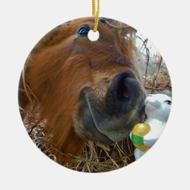 Ornamento De Cerâmica Páscoa Bunny e Cavalo Marrom (Frente)