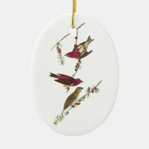 Ornamento De Cerâmica Passarinho roxo por Audubon