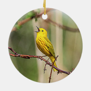 Ornamento De Cerâmica Pássaro Cantando Amarelo