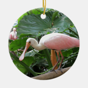 Ornamento De Cerâmica Pássaro cor-de-rosa do Spoonbill róseo